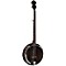 Backwoods 2 Acoustic-Electric 5-String Banjo Level 1 Gloss Natural