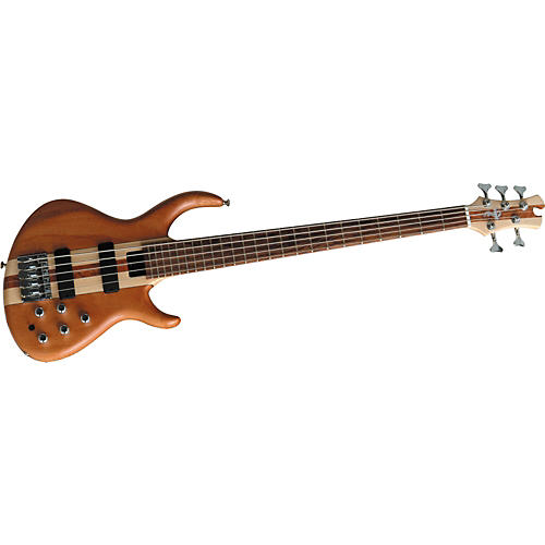 Basic 5-String Bass