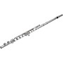 Open-Box Pearl Flutes Belsona 200 Series Student Flute Condition 2 - Blemished Offset G, C-Foot 197881021245