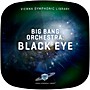 Vienna Symphonic Library Big Bang Orchestra: Black Eye (Download)