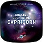 Vienna Symphonic Library Big Bang Orchestra: Capricorn (Download)