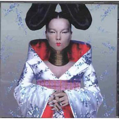 Bjork - Homogenic