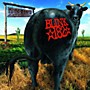 Alliance Blink 182 - Dude Ranch