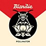 ALLIANCE Blondie - Pollinator