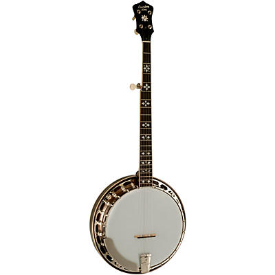 Recording King Bluegrass Series RK-R20 Songster Banjo