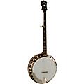 Recording King Bluegrass Series RK-R20 Songster Banjo Condition 2 - Blemished  197881496067Condition 2 - Blemished  197881496067
