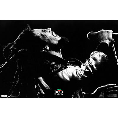 Trends International Bob Marley - Live Poster