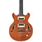 Boca 12-String Electric Guitar Level 2 Transparent Amber Sunburst 888365490595