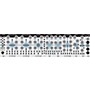 Studio Electronics Boomstar Modular Seito Rising