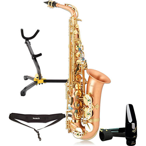 Boss 2 Professional Alto Saxophone Kit