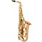 Boss 2 Professional Alto Saxophone Level 2 AAAS-908 - Copper Body - Brass Lacquer Keys 888365544038