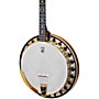 Deering Boston Plectrum Banjo