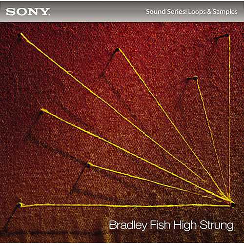 Bradley Fish: High Strung