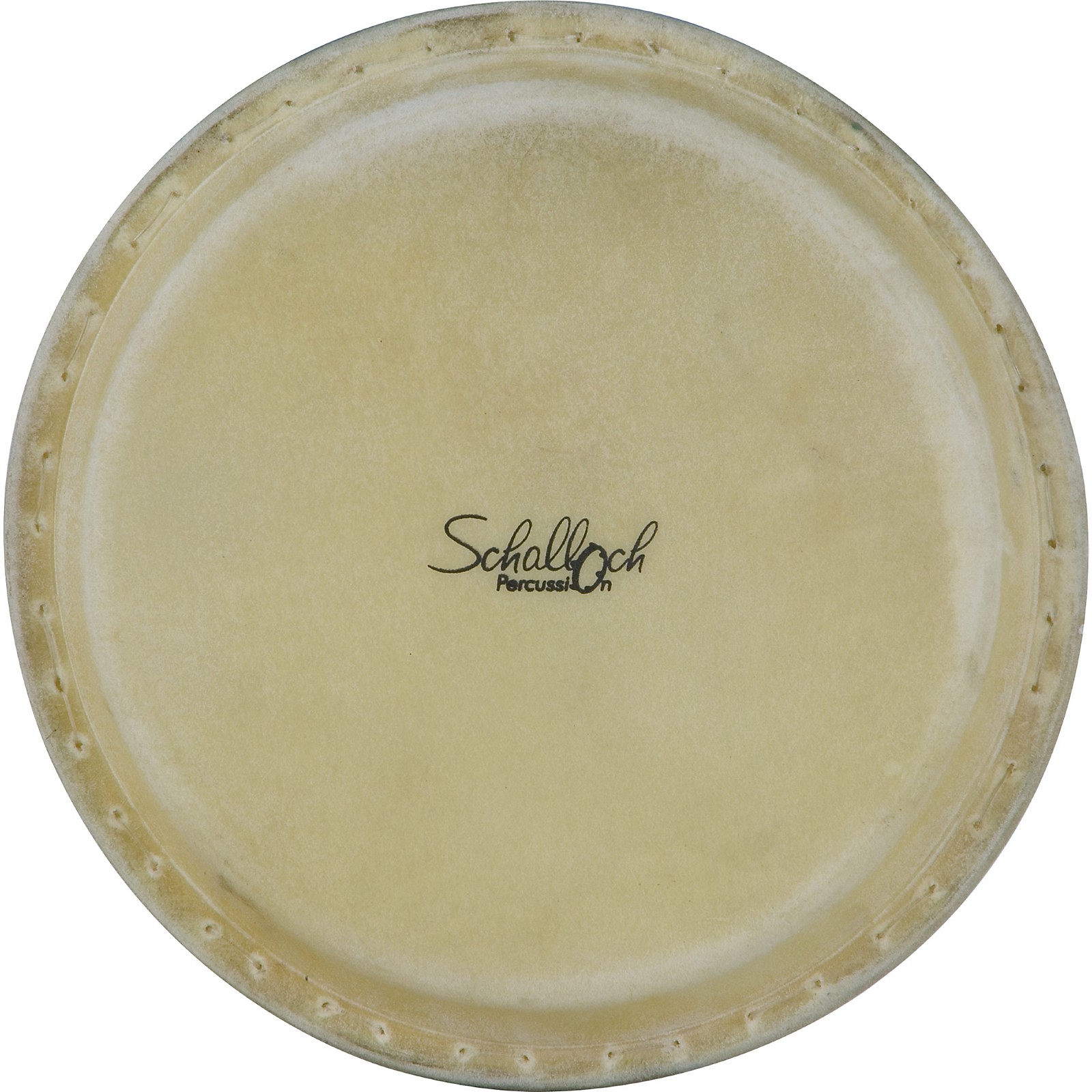 Schalloch Buffalo Skin Conga Replacement Head Musician's Friend
