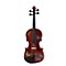 Butterfly Dream Series Violin Outfit Level 1 1/2 Size