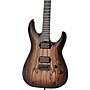 Schecter Guitar Research C-1 Pale Moon Electric Guitar - Natural Satin with Black Burst