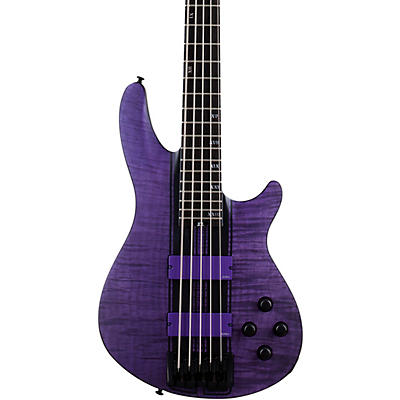 Schecter Guitar Research C-5 GT