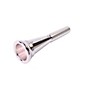 Stork C Series French Horn Mouthpiece in Silver C15