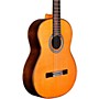 Open-Box Cordoba C10 CD/IN Acoustic Nylon-String Classical Guitar Condition 1 - Mint Natural
