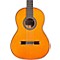 C10 Parlor CD Nylon String Acoustic Guitar Level 2 Natural 888365918464