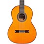 Cordoba C10 Parlor CD Nylon String Acoustic Guitar Natural