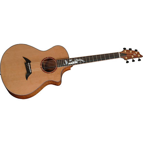 C25 Custom Acoustic Guitar