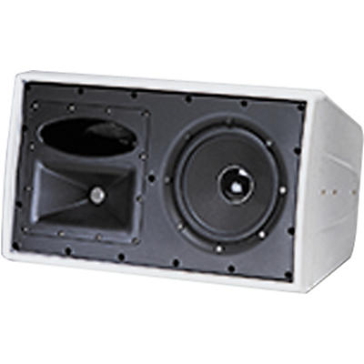 JBL C29AV-1 Control 2-Way Indoor/Outdoor Speaker
