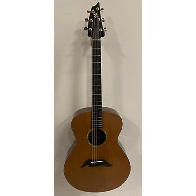 Breedlove C2mh Acoustic Guitar