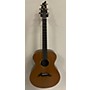Used Breedlove C2mh Acoustic Guitar Natural