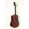 CD60 All-Mahogany Acoustic Guitar Level 3 Natural 190839056382