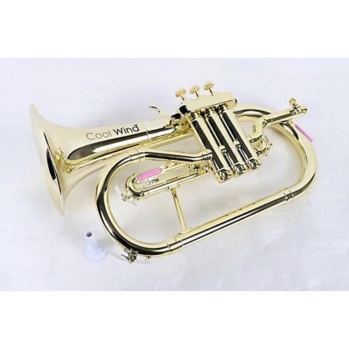Cool Wind CFG-200 Metallic Series Plastic Bb Flugelhorn Condition 3 - Scratch and Dent Lacquer 197881084127