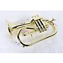 Open-Box Cool Wind CFG-200 Metallic Series Plastic Bb Flugelhorn Condition 3 - Scratch and Dent Lacquer 197881084127