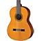 CG102 Classical Guitar Level 2 Spruce Top, Natural 190839013323
