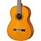 CG142 Classical Guitar Level 2 Cedar 888365842400