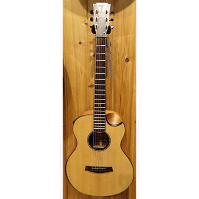 Traveler Guitar CL3E SPSE Acoustic Electric Guitar