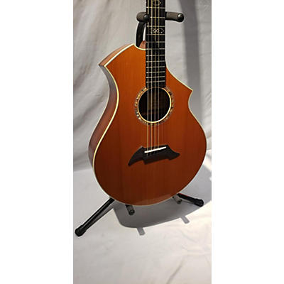 Breedlove CM Custom Acoustic Guitar