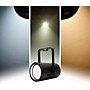 American DJ COB Cannon Wash DW LED PAR Wash Light