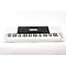 CTK-4200 61-Key Portable Keyboard Level 3  888365297354