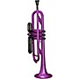 Cool Wind CTR-200 Series Plastic Bb Trumpet Purple