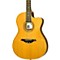 Caballero 10 Cutaway Nylon String Acoustic-Electric Guitar Level 1 Natural