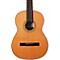 Caballero 11 Cedar Top Classical Guitar Level 2 Regular 888365832524