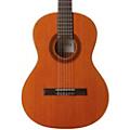 Cordoba Cadete 3/4 Size Acoustic Nylon-String Classical Guitar Condition 3 - Scratch and Dent Natural 197881139131Condition 1 - Mint Natural