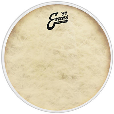 EVANS Calftone Drum Head