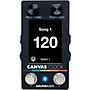 Walrus Audio Canvas MIDI Clock Black