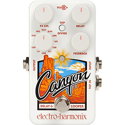 Electro-Harmonix Canyon Delay & Looper Guitar Effects Pedal