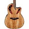 Celebrity Elite Plus Acoustic-Electric Guitar Level 1 Spalted Maple