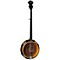 Celtic 5-String Banjo Level 1
