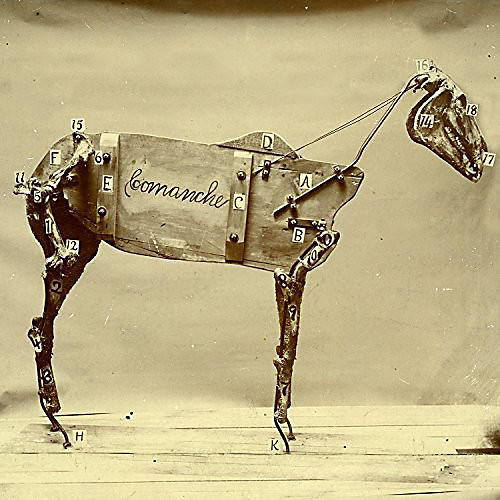 Chadwick Stokes - Horse Comanche