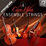 Best Service Chris Hein Ensemble Strings Crossgrade