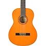 Open-Box Washburn Classical Acoustic Guitar Condition 2 - Blemished  197881468064